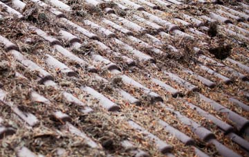 Purwell roof cleaning companies