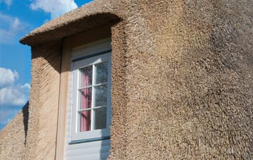 Purwell thatch roof disadvantages