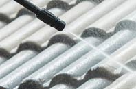 rated Purwell roof cleaning companies